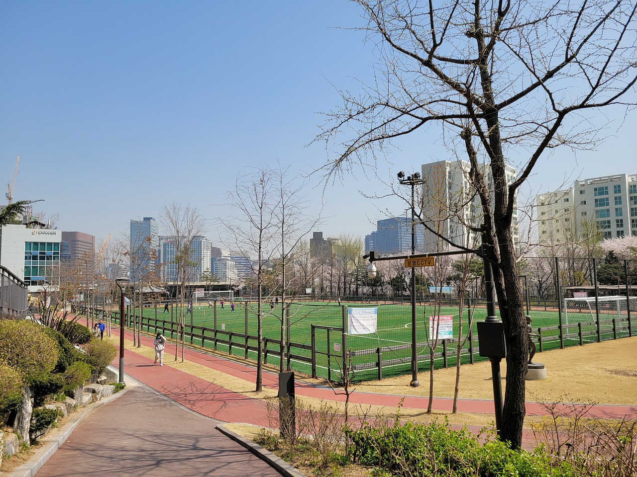 带来了巨大 带来了巨大